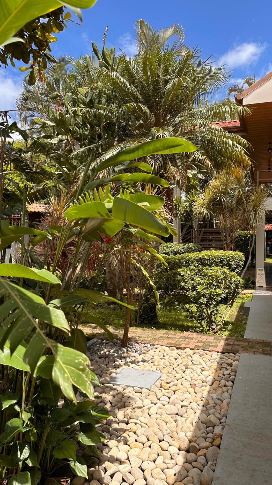 Brillasol Airport Hotel Las Ciruelas  Екстериор снимка